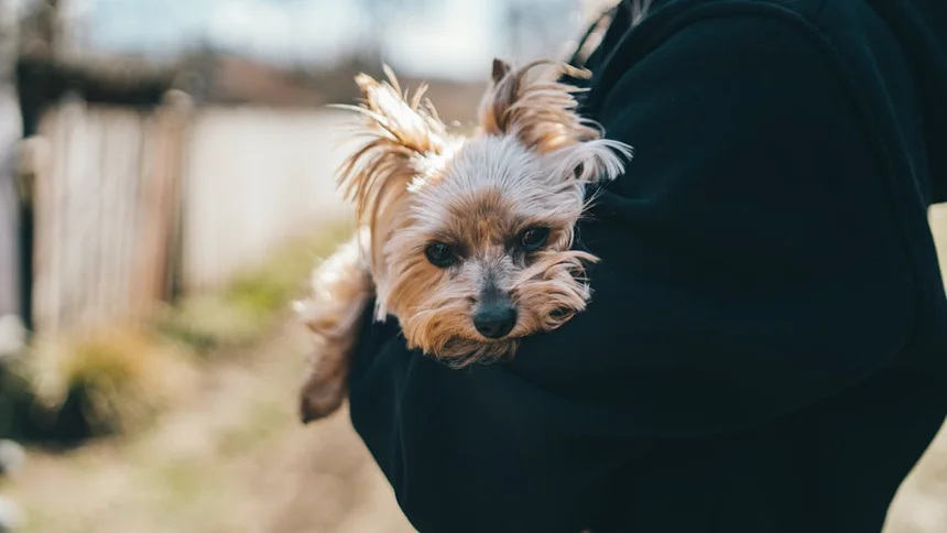 Hugging Face