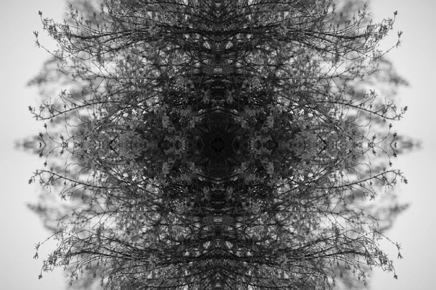 Tensor 0