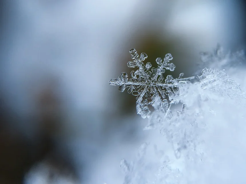 Winter activewear
