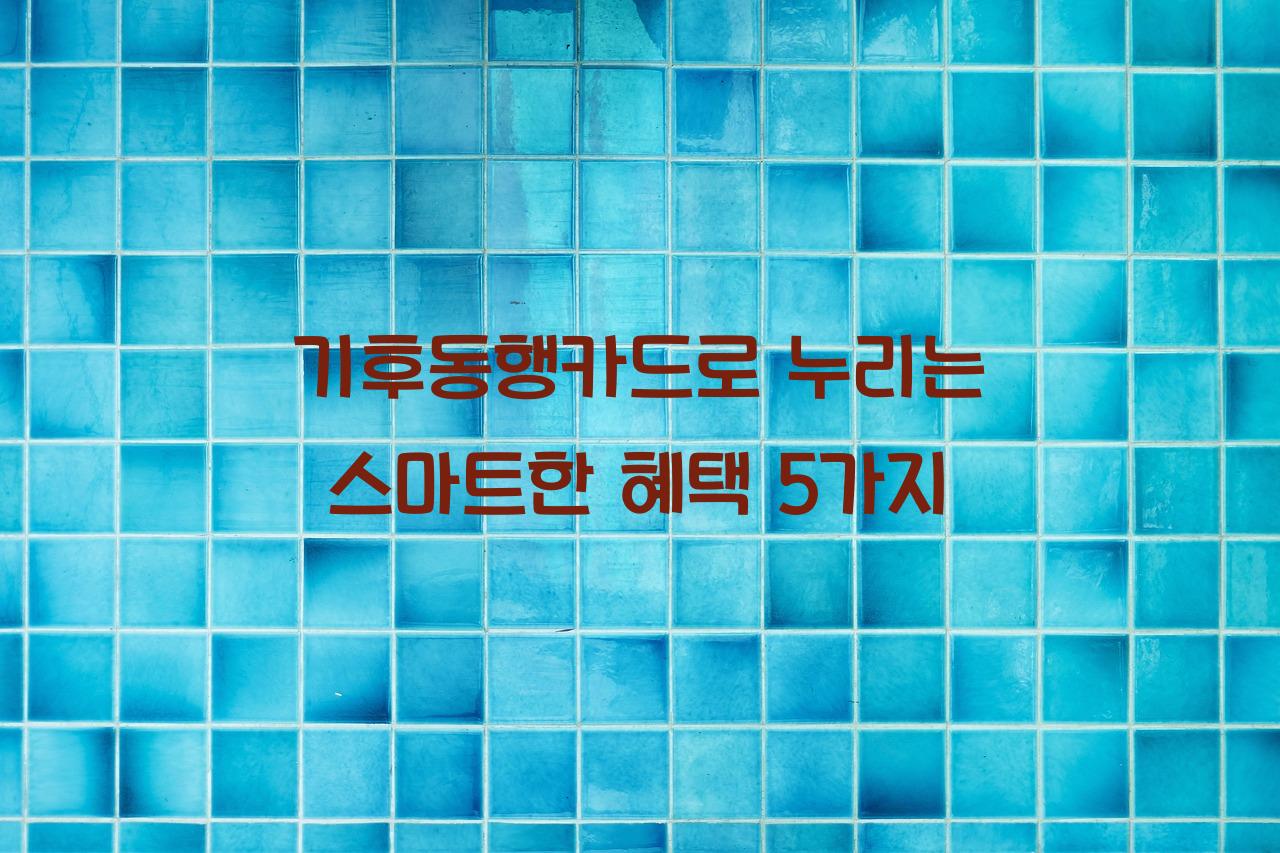 기후동행카드
