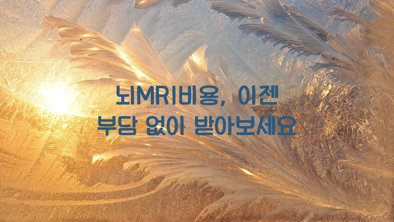 뇌MRI비용