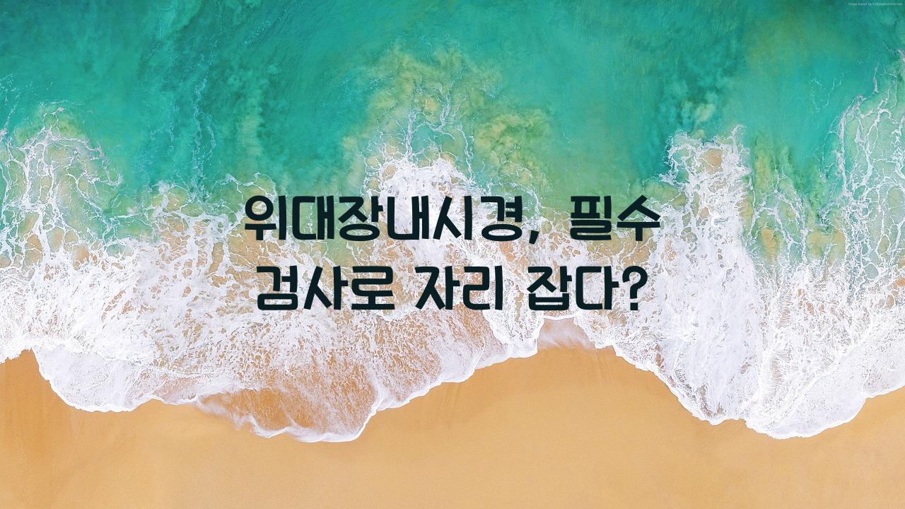 위대장내시경