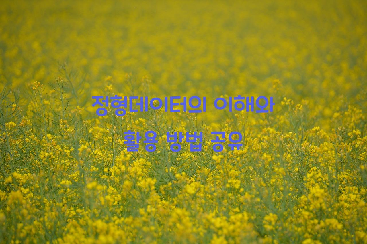 정형데이터