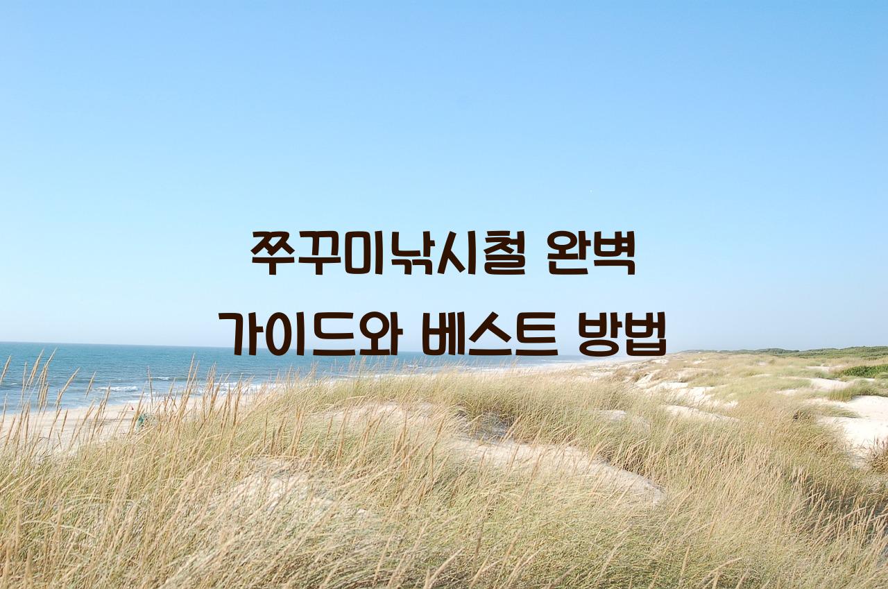 쭈꾸미낚시철