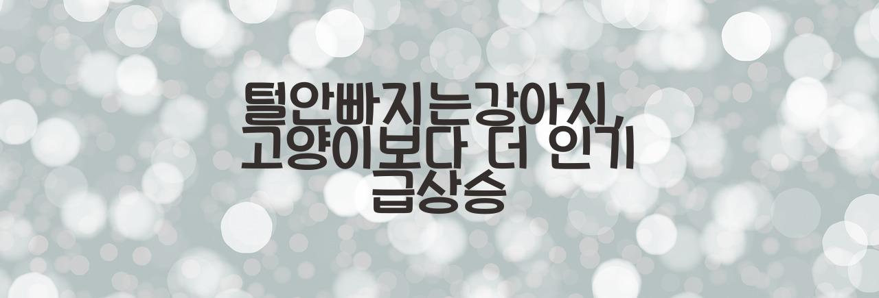 털안빠지는강아지